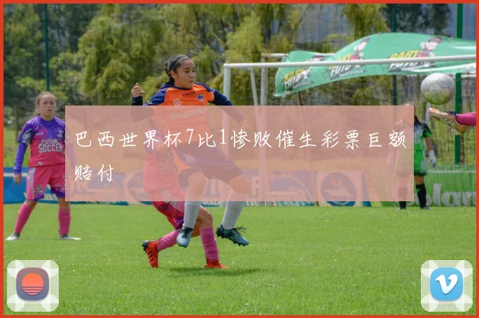 巴西世界杯7比1惨败催生彩票巨额赔付