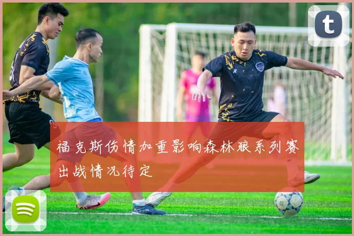 福克斯伤情加重影响森林狼系列赛出战情况待定