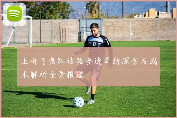 上海飞盘队边路渗透革新探索与战术解析全景报道