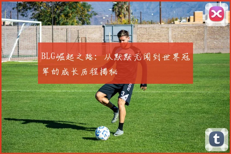 BLG崛起之路：从默默无闻到世界冠军的成长历程揭秘